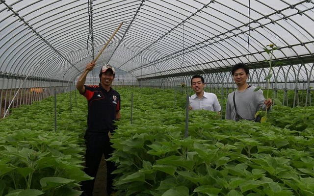 943128_528756873856482_883184858_n