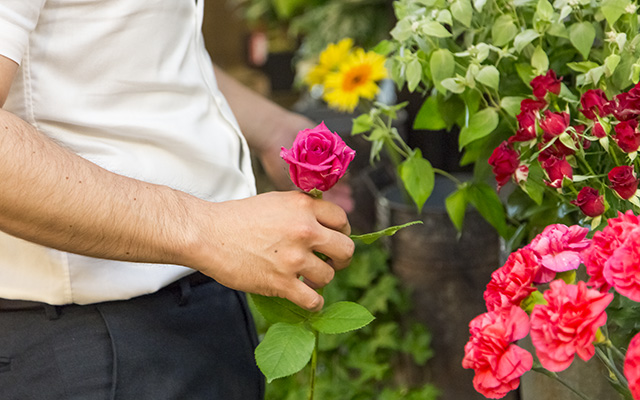 山﨑ースナップ (2)